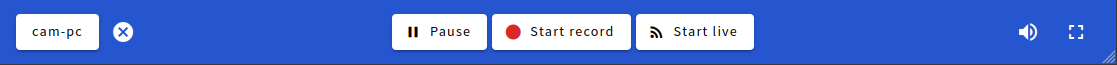 miris-record-actions-en.png